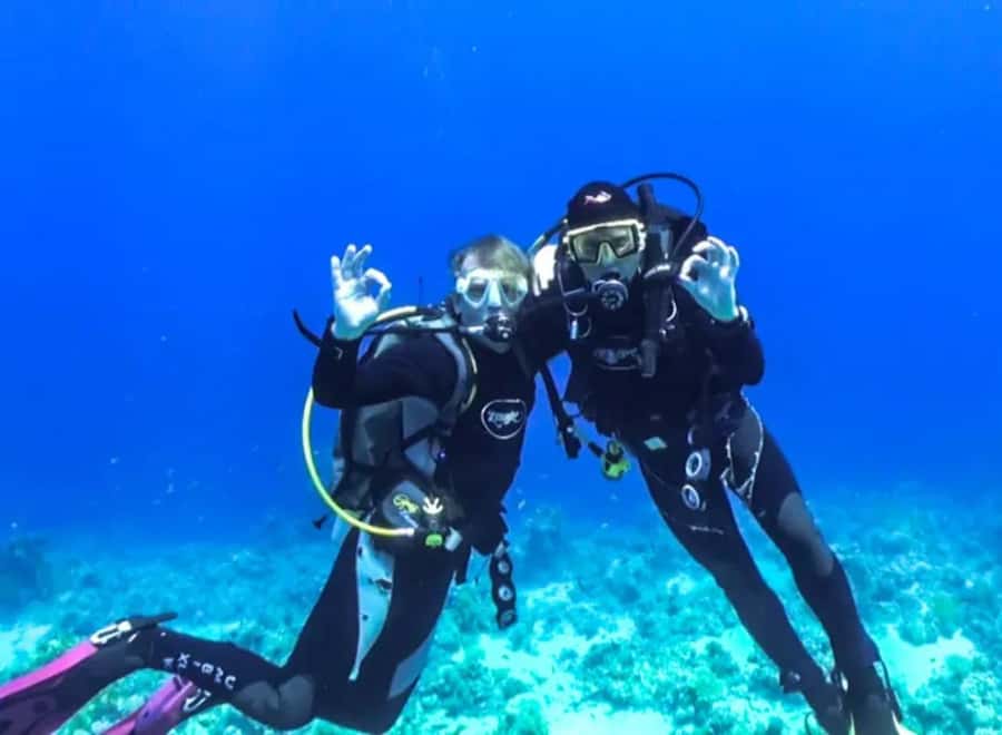 Sharm El Sheikh: Ras Mohamed & White Island Dive & Snorkel - Crowds, timing, and what the $29 price really buys