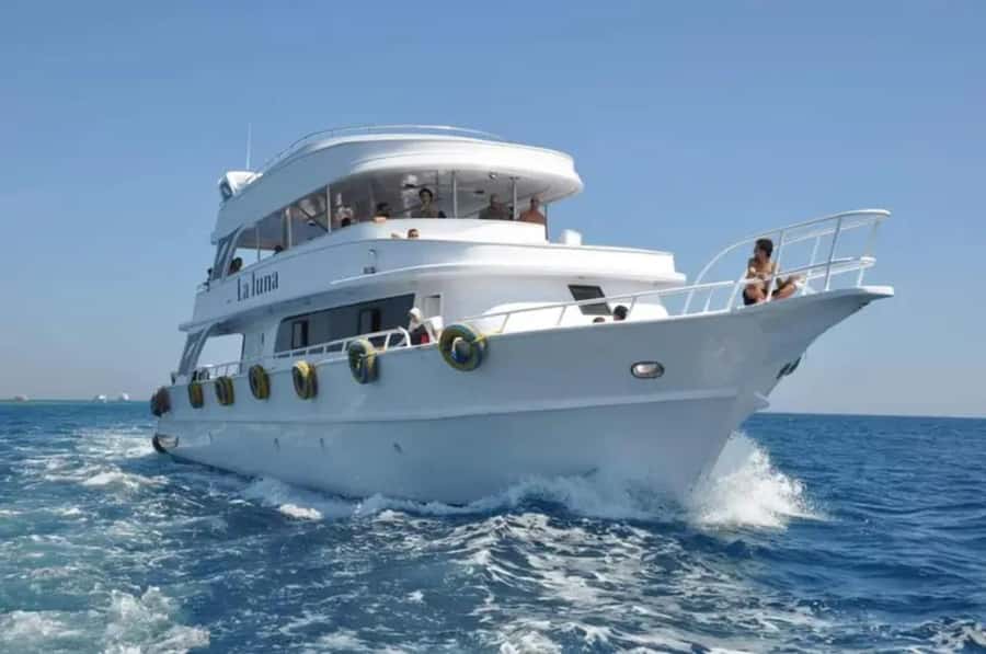 Sharm El Sheikh: Ras Mohamed & White Island Dive & Snorkel - What to bring and what to check before departure