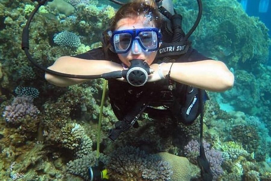 Sharm El Sheikh: Ras Mohamed & White Island Snorkel or Dive - From your Sharm hotel to the Red Sea