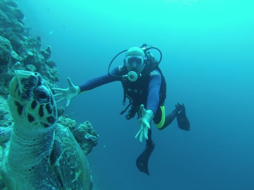 Sharm El Sheikh: Ras Mohamed & White Island Snorkel or Dive - Two reef sessions at Ras Mohamed