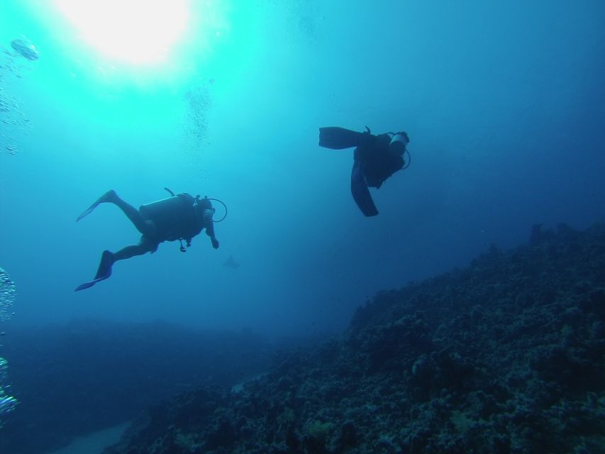 Sharm El Sheikh: Ras Mohamed & White Island Snorkel or Dive - Lunch, drinks, and life aboard the boat