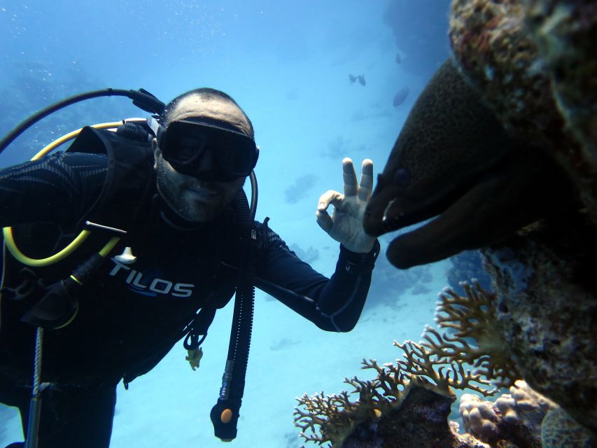 Sharm El Sheikh: Ras Mohamed & White Island Snorkel or Dive - Practical preparation for a calmer day