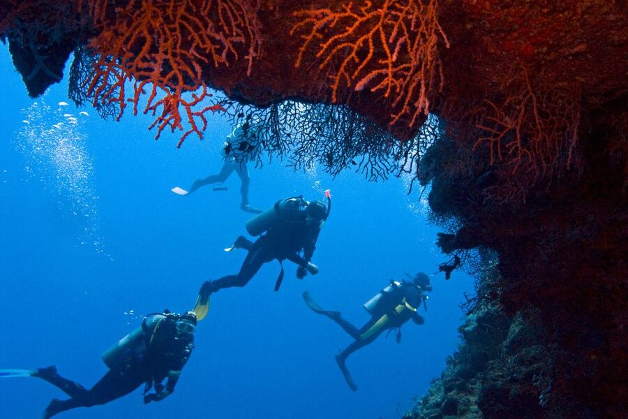 Sharm El-Sheikh: Ras Mohamed & White Island Snorkeling Trip - The morning pickup and boat transfer
