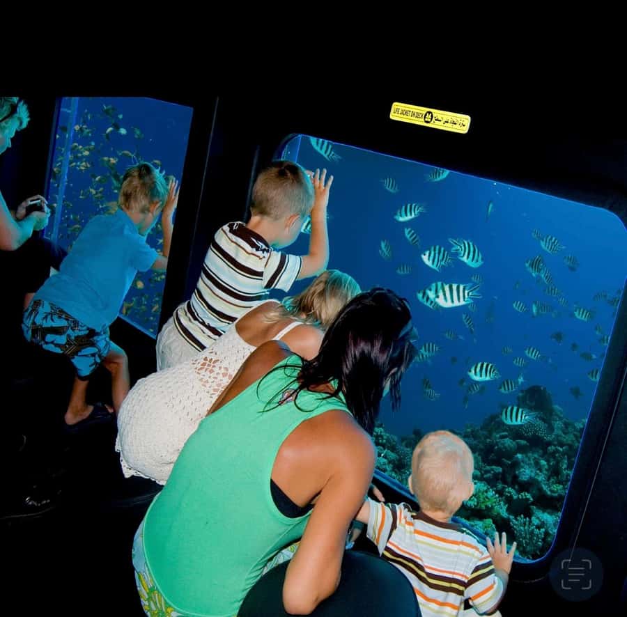 Sharm El-Sheikh: Royal Seascope Submarine Cruise with Pickup - Is $44 a fair price?