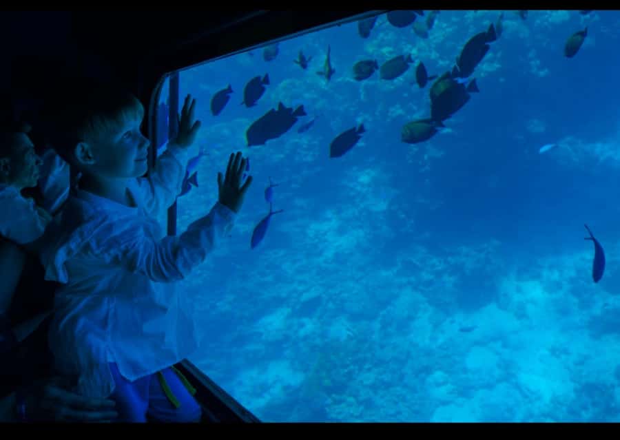 Sharm El-Sheikh: Royal Seascope Submarine Cruise with Pickup - Fifteen minutes across the Red Sea