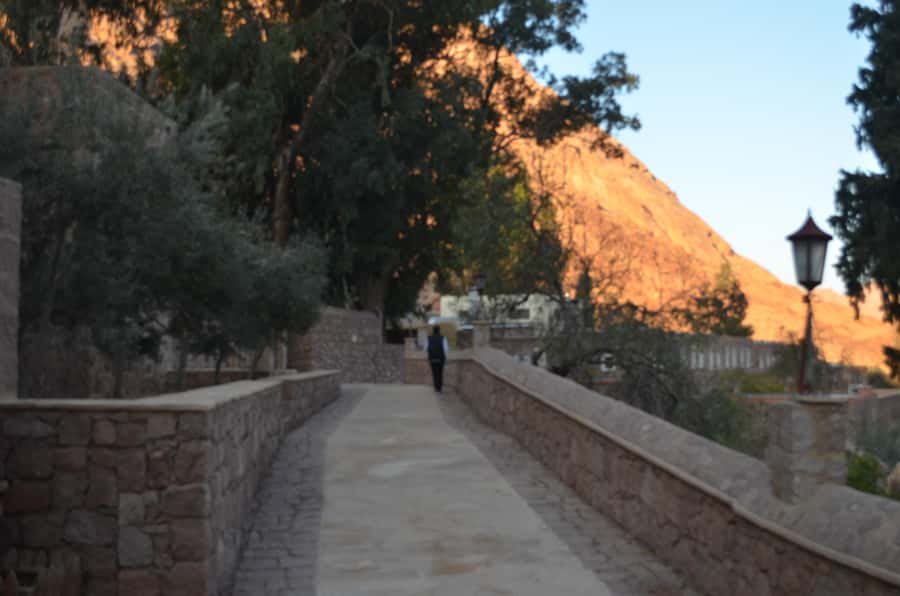 Sharm El Sheikh: Saint Catherine's Monastery Private Tour - The library and its ancient manuscripts