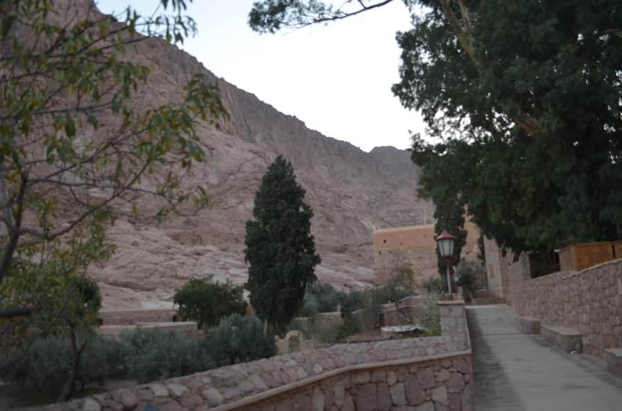 Sharm El Sheikh: Saint Catherine's Monastery Private Tour - Why the private car is worth considering
