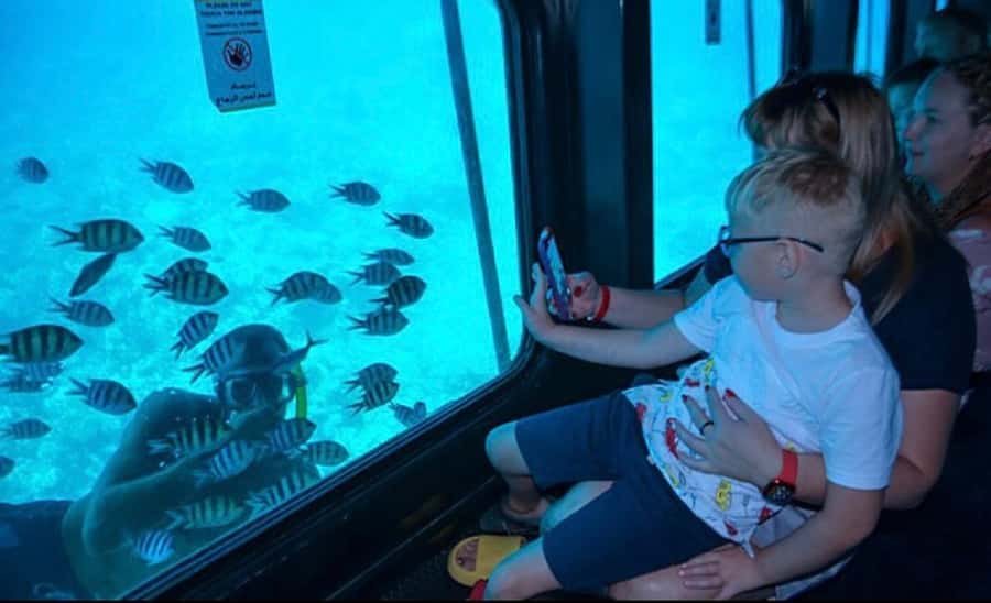 Sharm El-Sheikh: Seascope Submarine boat cruise with pickup - Key points to know before you book