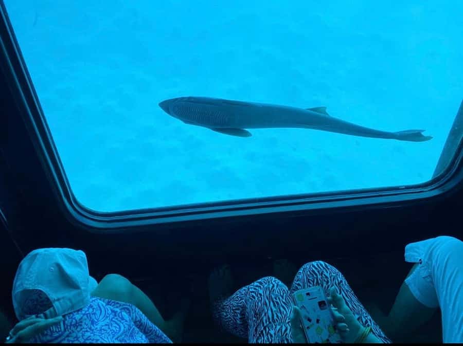 Sharm El-Sheikh: Seascope Submarine boat cruise with pickup - Booking, cancellation, and practical tips