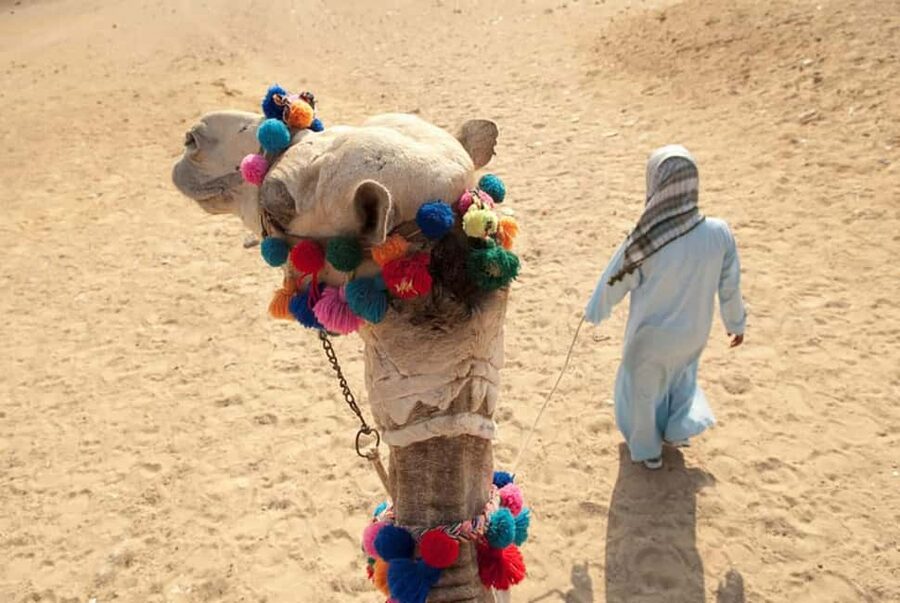 Sharm El-Sheikh: Ultimate ATV Quad, Stargazing & BBQ Dinner - Who should book this outing?