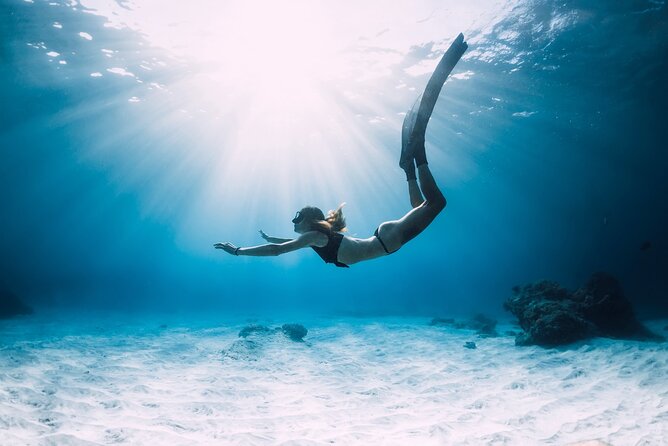 Sharm El Sheikh: White Island and Ras Mohamed Cruise Adventure - The essentials at a glance