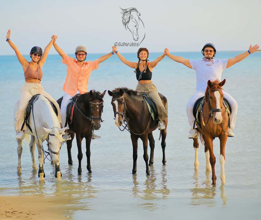 Sharm El Shiekh: Beach and City Desert Horse Riding Tour - From Edelweiss Center to the Red Sea
