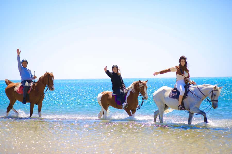 Sharm El Shiekh: Beach and City Desert Horse Riding Tour - Reaching the beach and entering the water