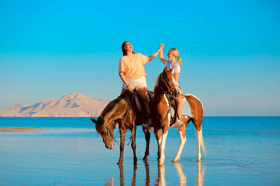 Sharm El Shiekh: Beach and City Desert Horse Riding Tour - Guides, lessons, and rider confidence
