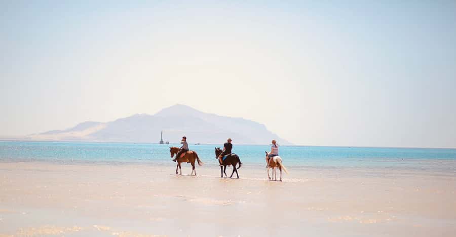 Sharm El Shiekh: Beach and City Desert Horse Riding Tour - Is $98 good value?