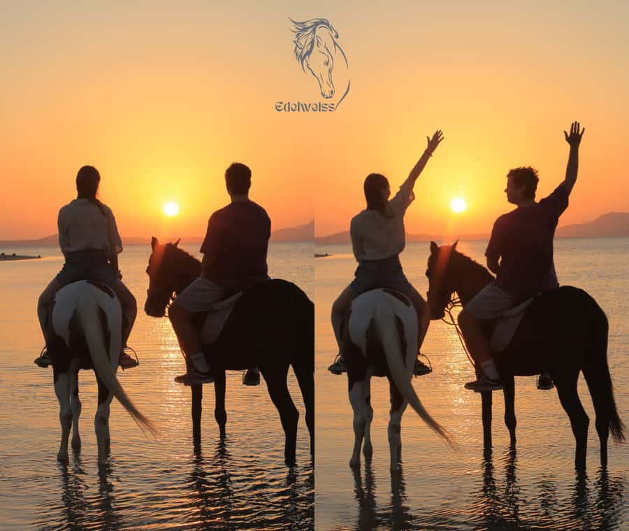 Sharm El Shiekh: Beach and City Desert Horse Riding Tour - What the two-hour route feels like