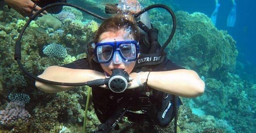 Sharm: Introductory Dive from the Shore & PADI Courses - The 2 to 3 day PADI Open Water option