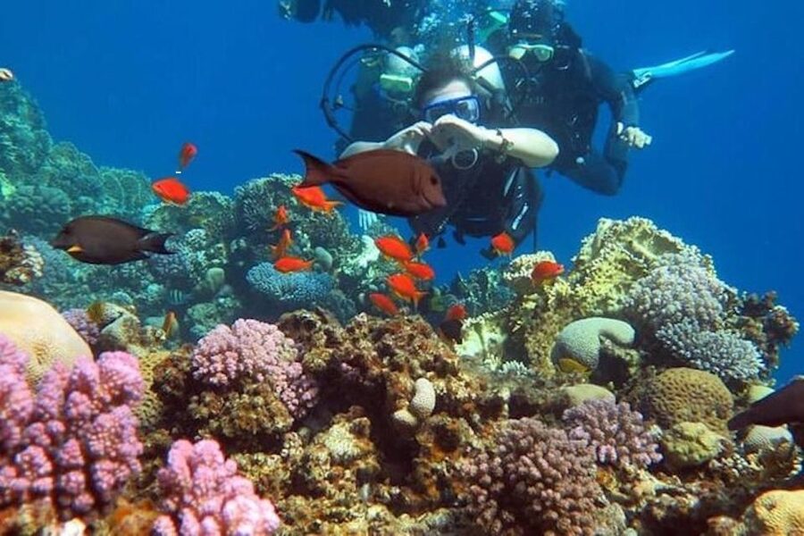 Sharm: Introductory Dive from the Shore & PADI Courses - What the $47 price really buys you
