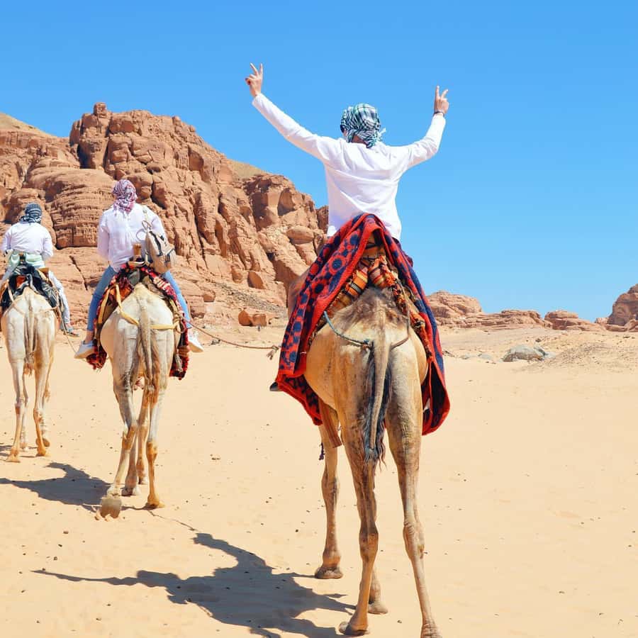 Sharm: Water Sports Adventure Day with Hotel Transfer - One day, two very different sides of Sharm