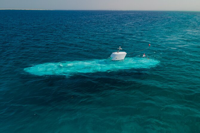 Sindbad Submarines - Hurghada (Egypt) - 2 Hours - The divers are part of the entertainment