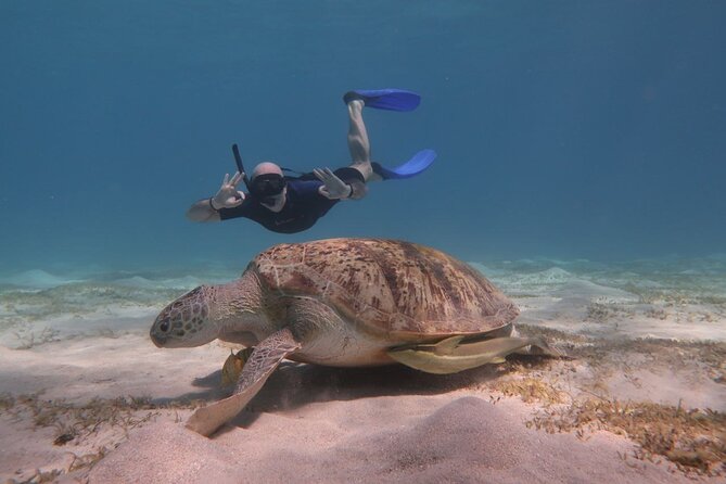 Snorkeling Boat Trip with Dugongs and Turtles in Marsa Alam - The 25-minute ride to Marsa Mubarak