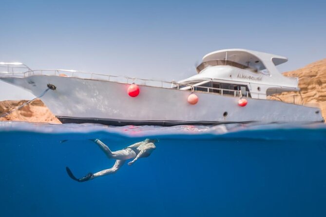 Snorkeling Day Trip to White Island and Ras Mohamed from Sharm - Should you book the White Island and Ras Mohamed trip?