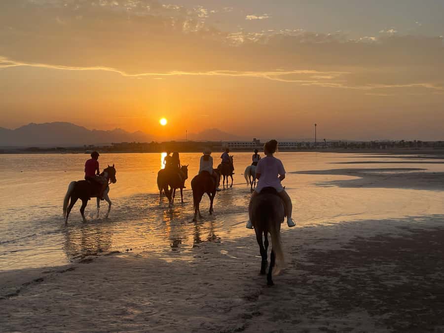 Soma Bay: Horse Riding Beach and Desert Tour With Transfer - Practical strengths and limits