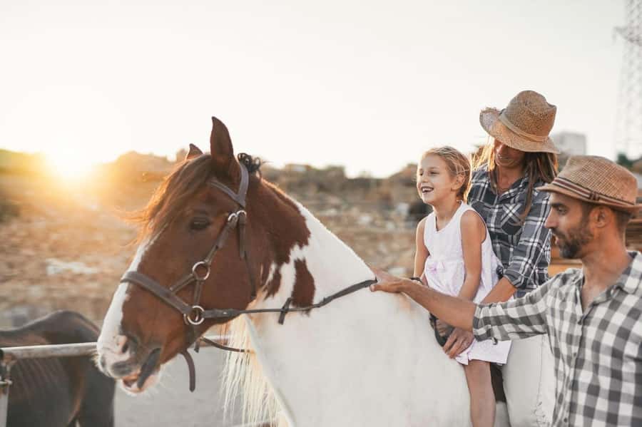 Soma Bay: Horse Riding Beach and Desert Tour With Transfer - A two-hour ride between sand and sea
