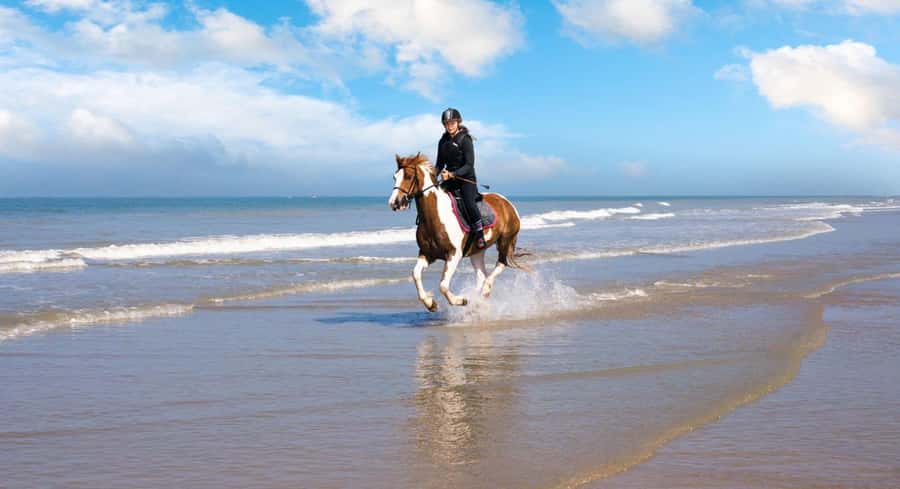 Soma Bay: Horse Riding Beach and Desert Tour With Transfer - Following the coastline beside the Red Sea