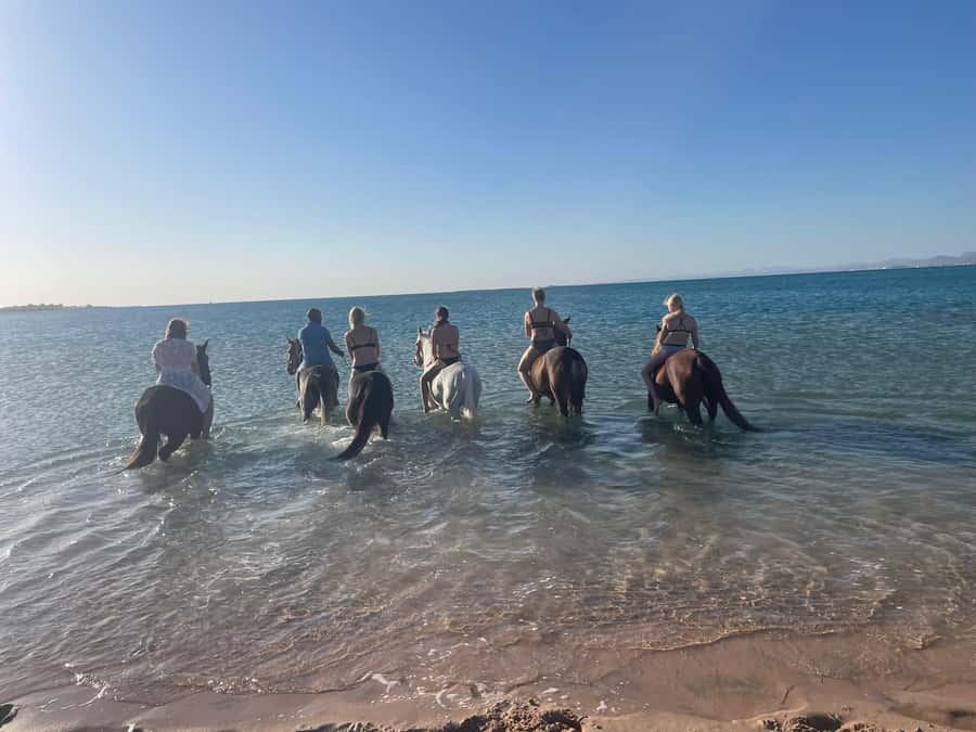 Soma Bay: Horse Riding Beach and Desert Tour With Transfer - How the guides shape the outing