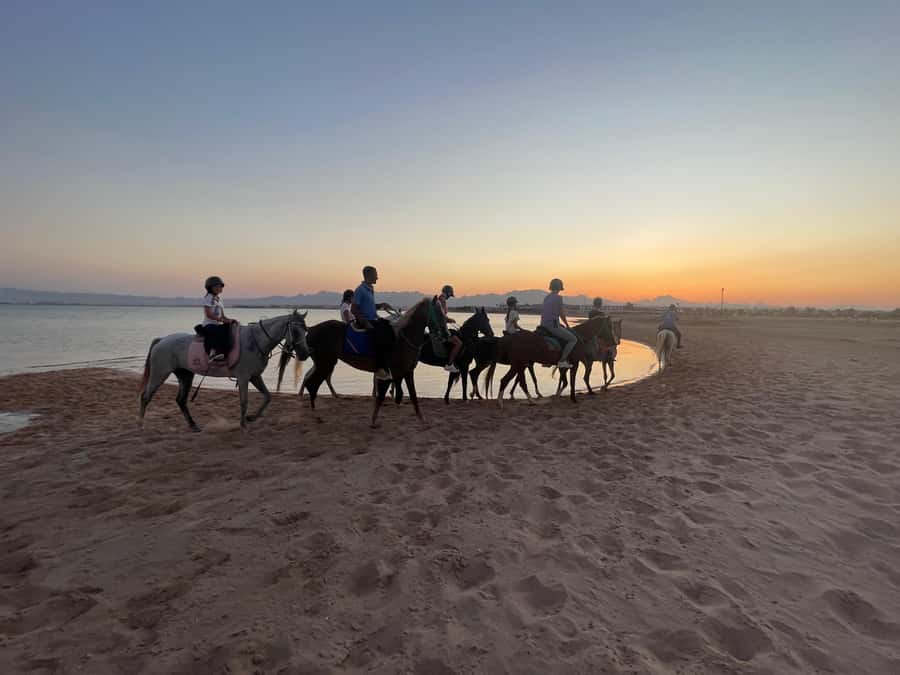Soma Bay: Horse Riding Beach and Desert Tour With Transfer - Who will enjoy this horse ride most