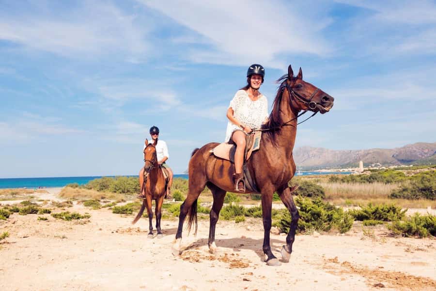 Soma Bay: Horse Riding Beach and Desert Tour With Transfer - What to bring and how to prepare