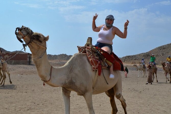 Stargazing Safari Adventure by Jeep with Bedouin Dinner-Hurghada - Camel riding and the optional horse ride