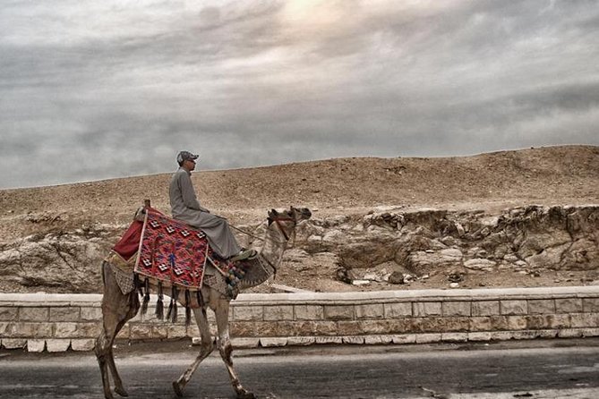 Super Safari ATV, Drive Buggy Car, Camel Ride, Bedouin Dinner, Show-Hurghada - The camel ride, and why you may skip it