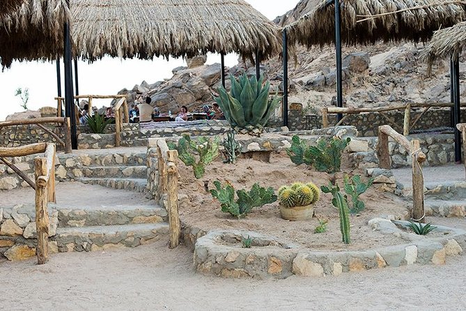 Super Safari, ATV & Sunset, Camel Ride With Dinner - Marsa Alam - Sunset Over the Desert and an Open-Air Barbecue