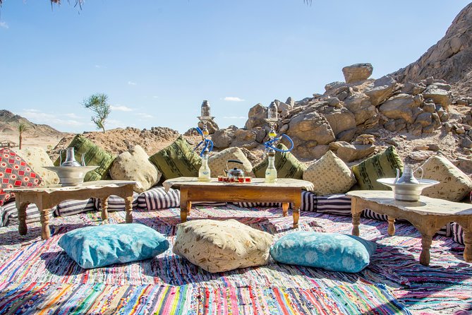 Super Safari, ATV & Sunset, Camel Ride With Dinner - Marsa Alam - The Return Ride After Dark