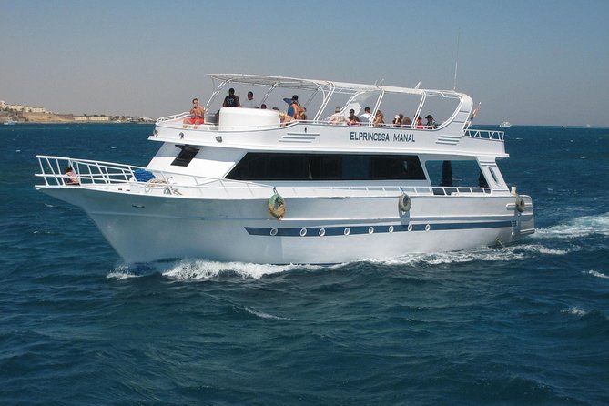 Swimming with Dolphin VIP Snorkeling Sea Trip With Lunch and Transfer - Hurghada - Is $9 a good deal for this Hurghada excursion?