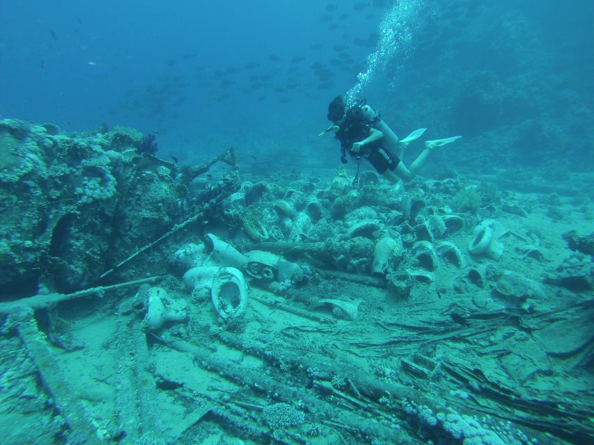 Tiran Island: Full-day Snorkeling, Diving Boat Trip - Key points to know before booking