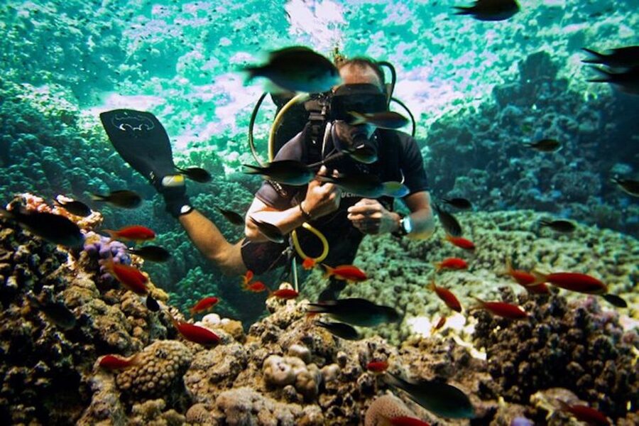 Tiran Island: Full-day Snorkeling, Diving Boat Trip - Snorkeling between coral and open water