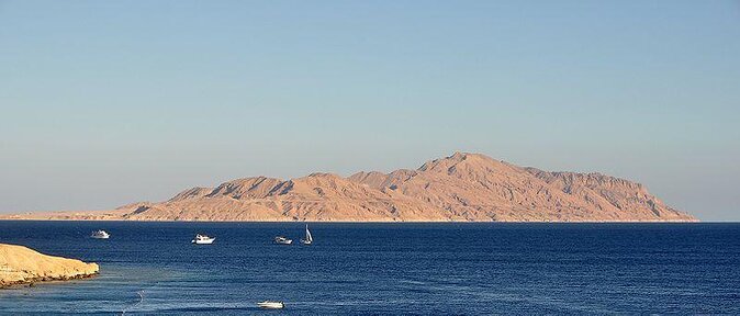 Tiran Island Snorkeling Excursion - Why This Red Sea Day Is Worth Considering