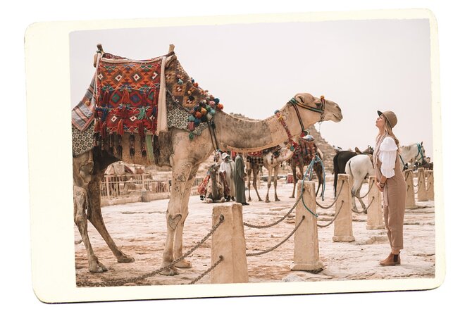 VIP All inclusive Best of Giza Pyramids, Sphinx, Sakkara, Memphis - The guide can make or break the day