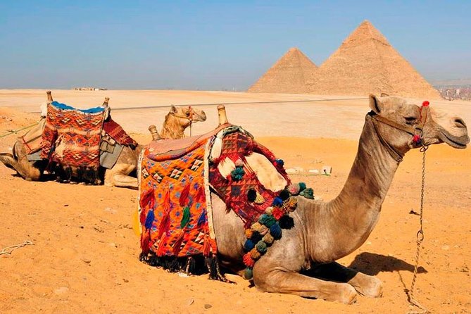 VIP All inclusive Best of Giza Pyramids, Sphinx, Sakkara, Memphis - Transport, comfort, and Cairo traffic