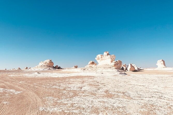 White & Black Desert tour 2 Days 1 night camping from Cairo. - Sunrise and the return through Bahariya Oasis